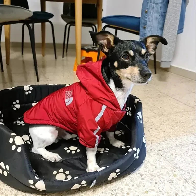 Waterproof Dogs Clothes Reflective Pet Coat For Small Medium Dogs Winter Warm Fleece Dog Jackets Puppy Raincoat Chihuahua Outfit